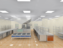 成都商用厨具厂家告诉你小型餐饮饭店草莓视频懂你更多设计方法