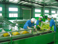 四川中央草莓视频懂你更多设备厂家详解中央草莓视频懂你更多的分区要自己设计注意事项